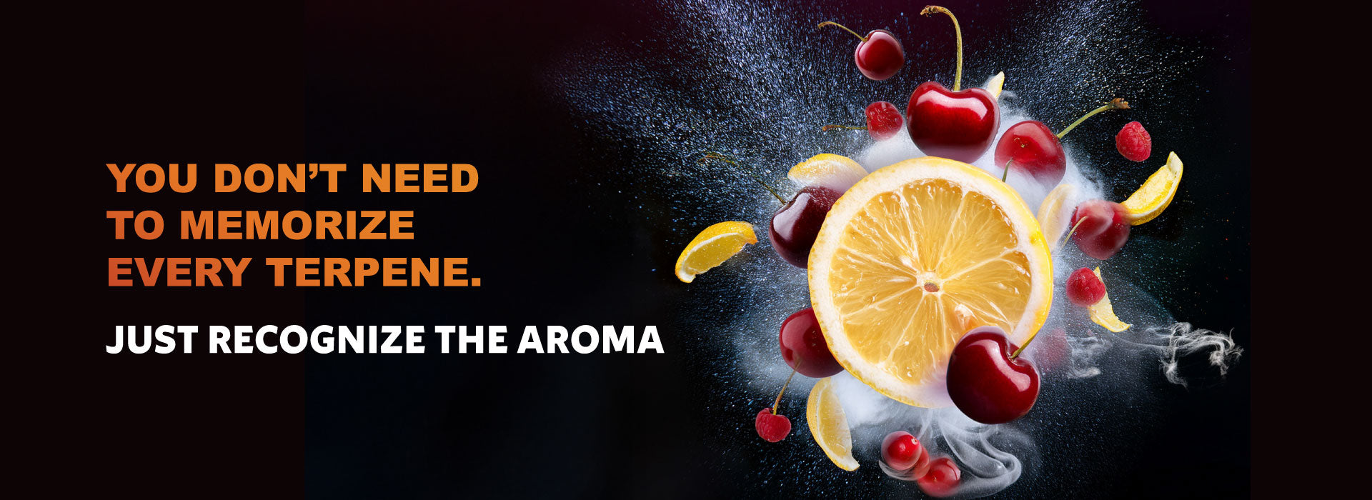 Snack Energy Only: The Terpene Taste Test