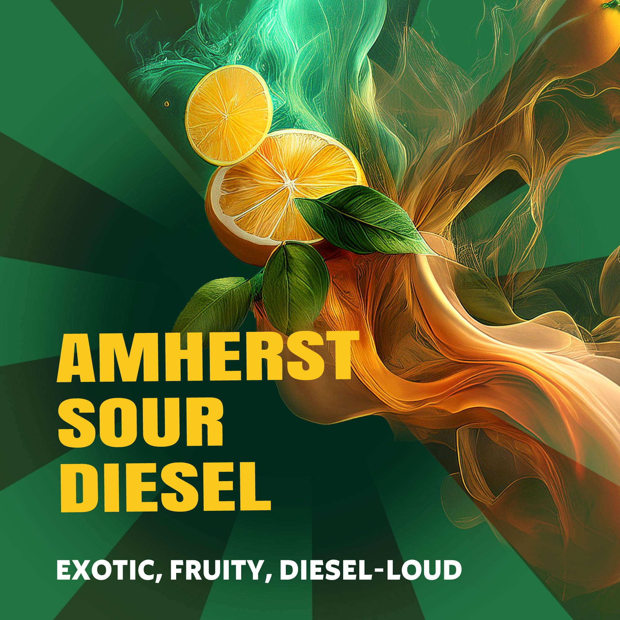 Amherst Sour Diesel
